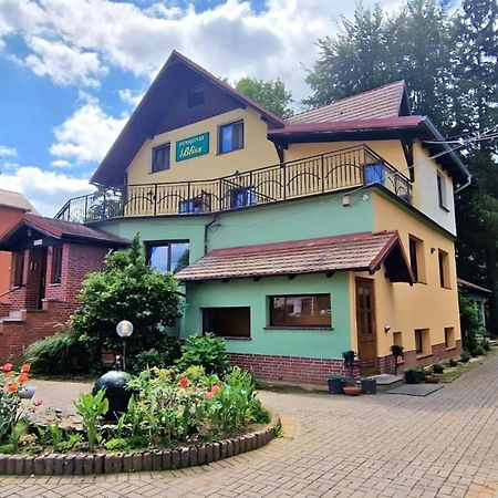 Pensjonat Bliss Polanica-Zdroj Dış mekan fotoğraf